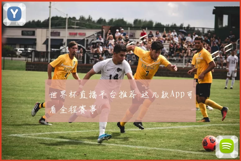 世界杯直播平台推荐 这几款App可看全程赛事