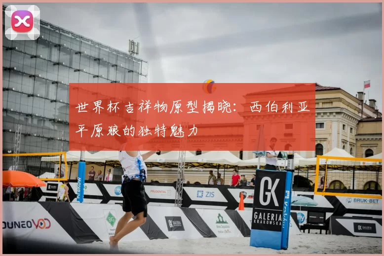 世界杯吉祥物原型揭晓：西伯利亚平原狼的独特魅力