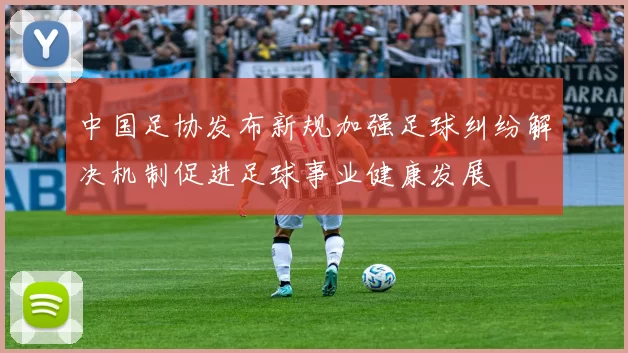 中国足协发布新规加强足球纠纷解决机制促进足球事业健康发展