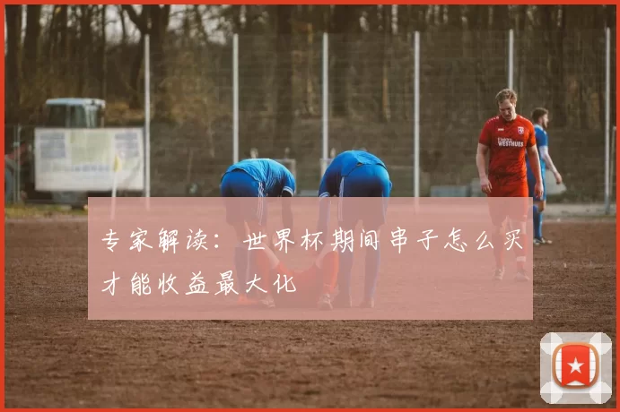 专家解读：世界杯期间串子怎么买才能收益最大化