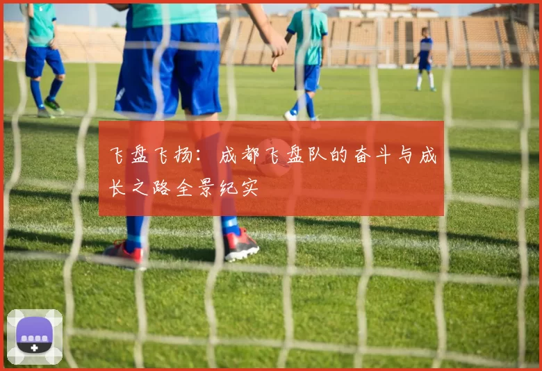 飞盘飞扬:成都飞盘队的奋斗与成长之路全景纪实