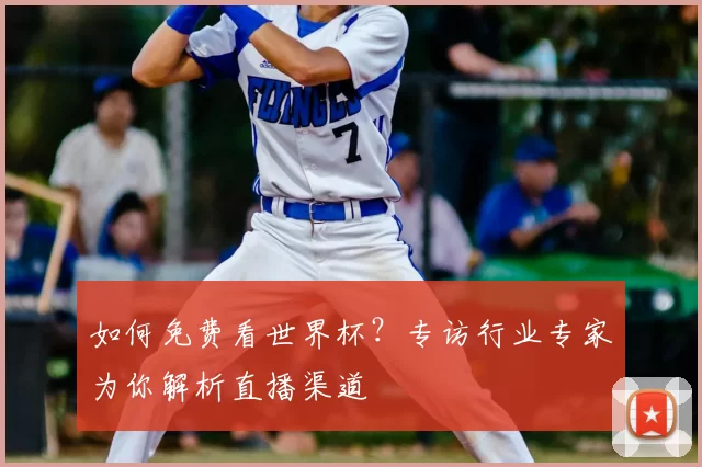 如何免费看世界杯?专访行业专家为你解析直播渠道