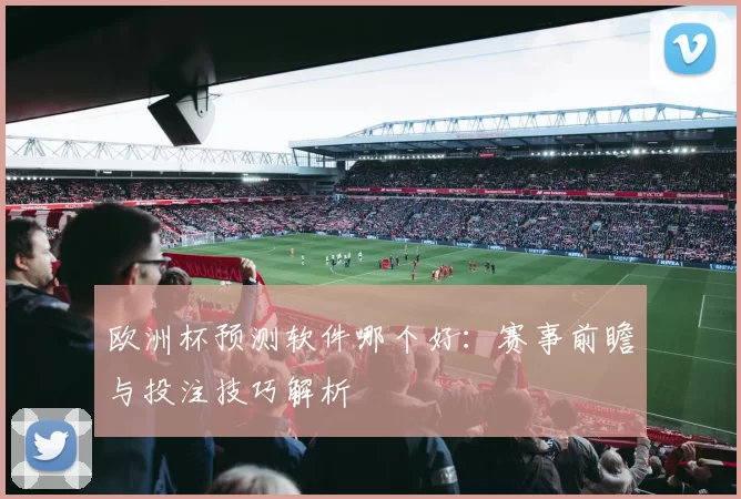 欧洲杯预测软件哪个好:赛事前瞻与投注技巧解析