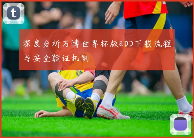 深度分析万博世界杯版app下载流程与安全验证机制