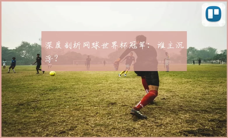 深度剖析网球世界杯冠军:谁主沉浮?