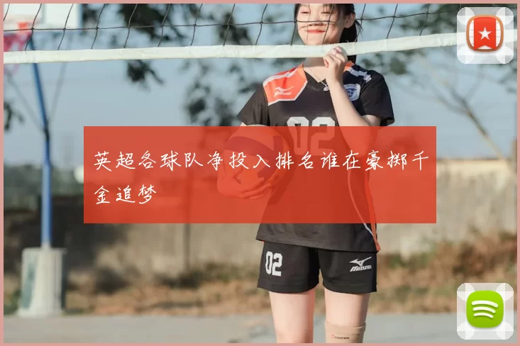 英超各球队净投入排名谁在豪掷千金追梦
