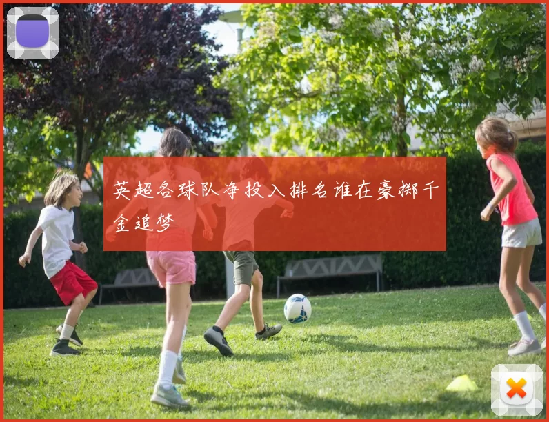 英超各球队净投入排名谁在豪掷千金追梦