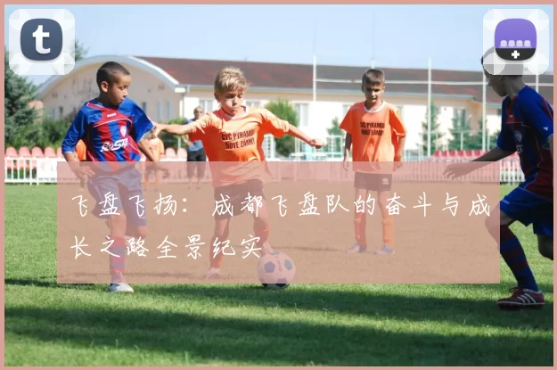 飞盘飞扬:成都飞盘队的奋斗与成长之路全景纪实