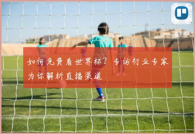 如何免费看世界杯？专访行业专家为你解析直播渠道