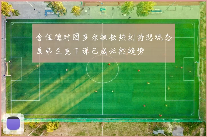 舍伍德对图多尔执教热刺持悲观态度弗兰克下课已成必然趋势